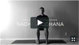 Y4M Nadhi Shodhana Pranayama