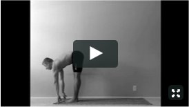 Y4M Sun Salutation + Inversion